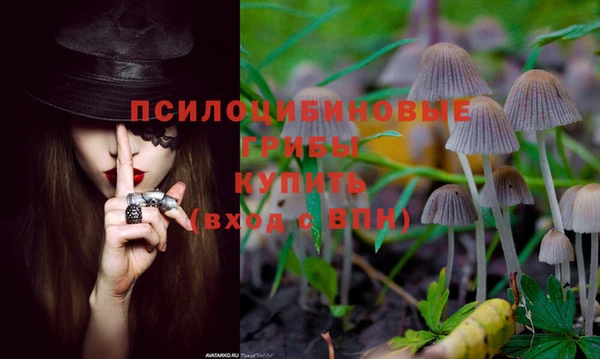 герыч Усолье-Сибирское